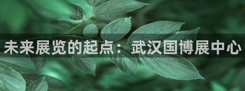 果博账号注册要钱吗